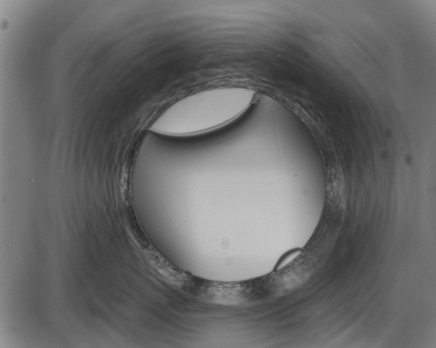 X0000087550767200704270948