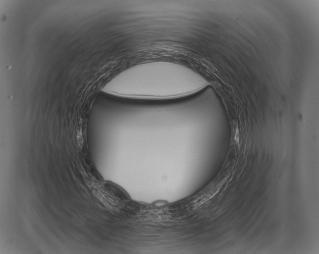 X0000087550771200704270948