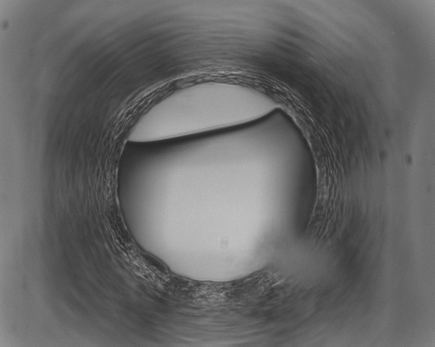 X0000087550773200704270948