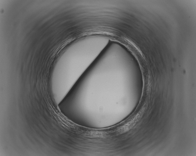 X0000087550777200704270948