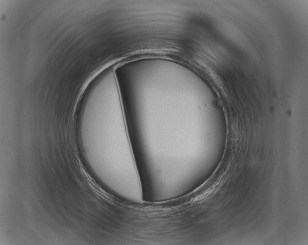 X0000087550779200704270948