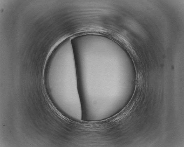 X0000087550780200704270948