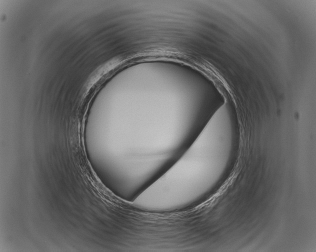 X0000087550781200704270948