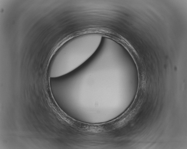 X0000087550786200704270947