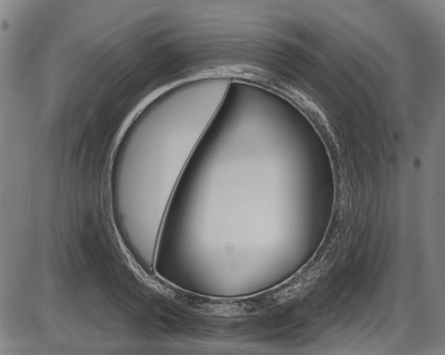 X0000087550792200704270947
