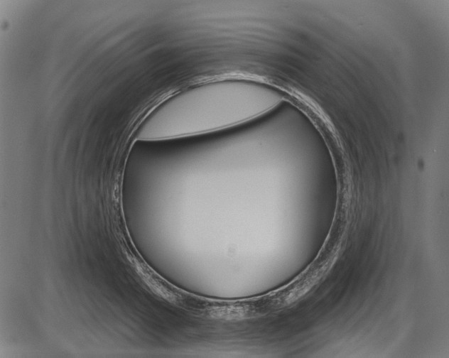 X0000087550793200704270947