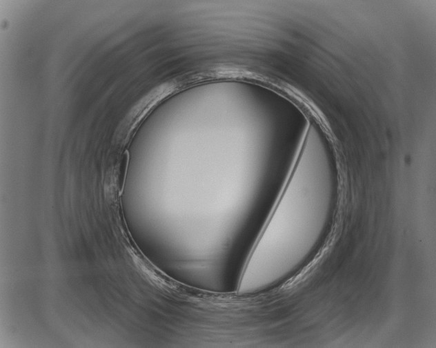 X0000087550801200704270947