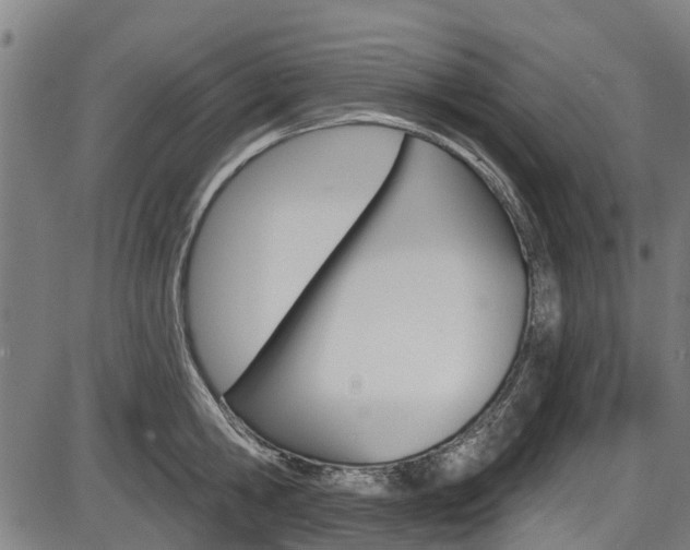 X0000087550806200704270947