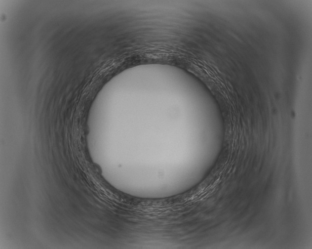 X0000087550817200704270946