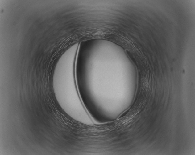 X0000087550818200704270946