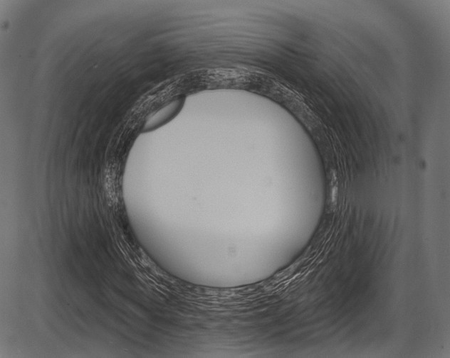 X0000087550819200704270946