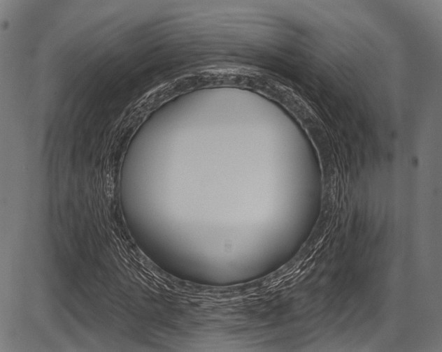 X0000087550821200704270946