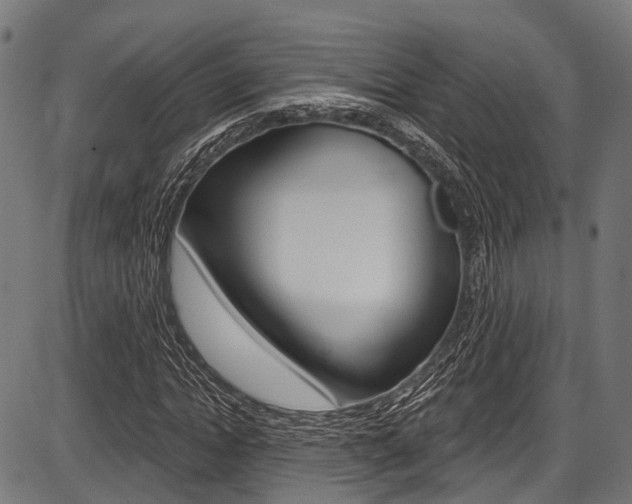 X0000087550822200704270946