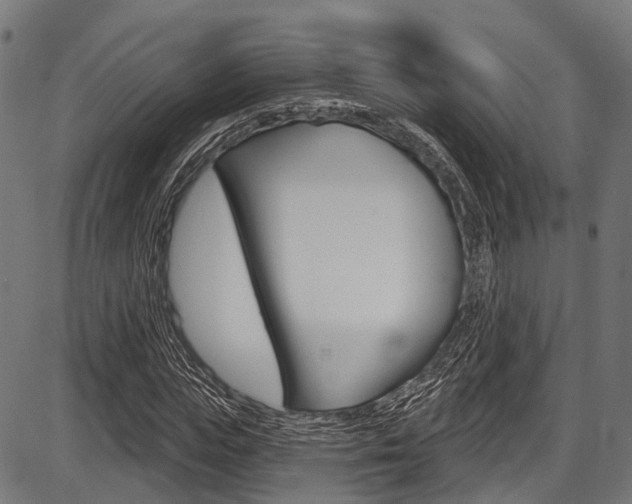 X0000087550823200704270946