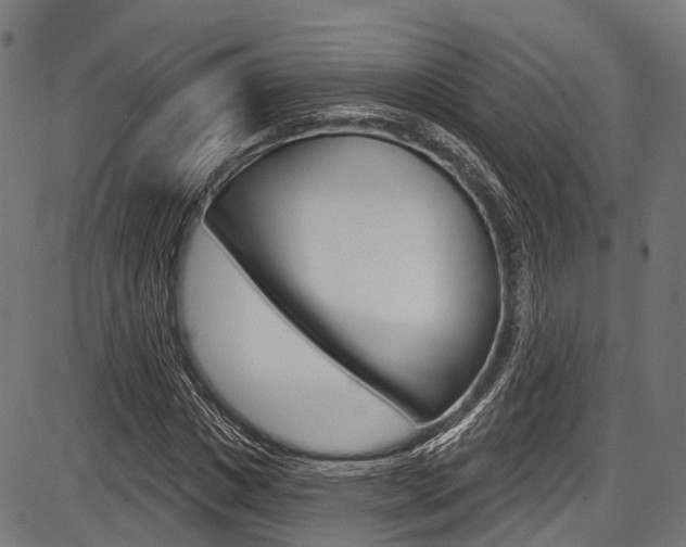 X0000087550825200704270946