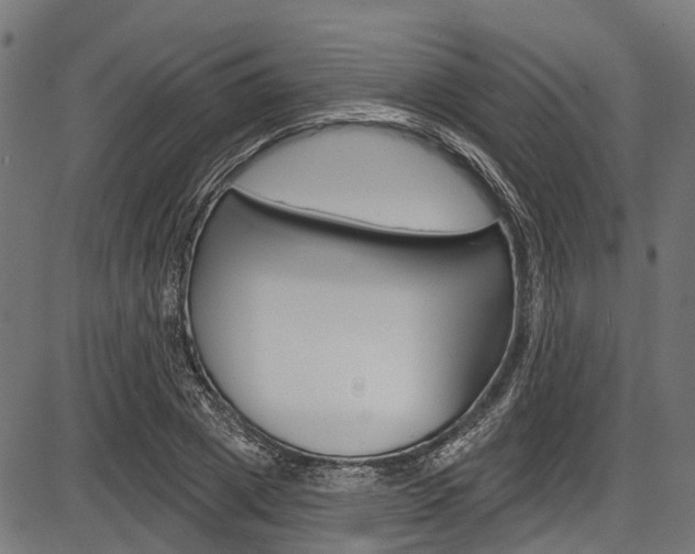 X0000087550833200704270946