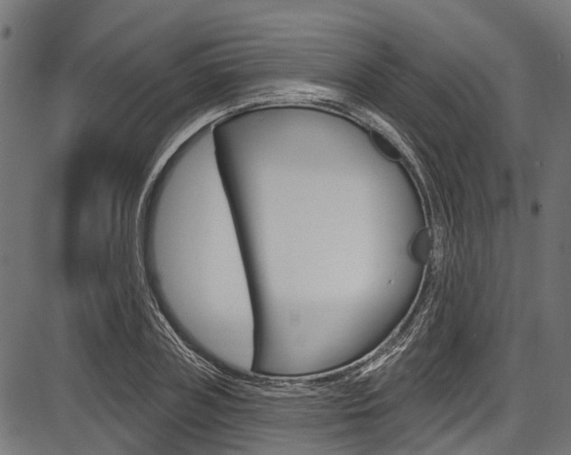 X0000087550835200704270946