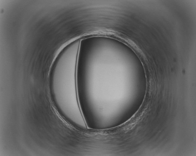 X0000087550838200704270947