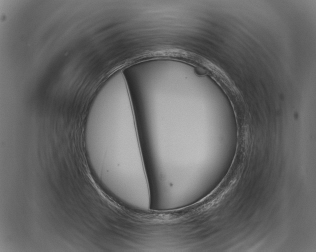 X0000087550841200704270947
