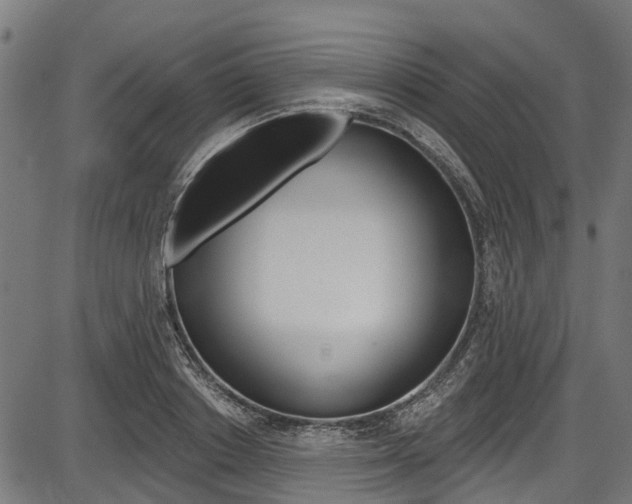 X0000087550842200704270947