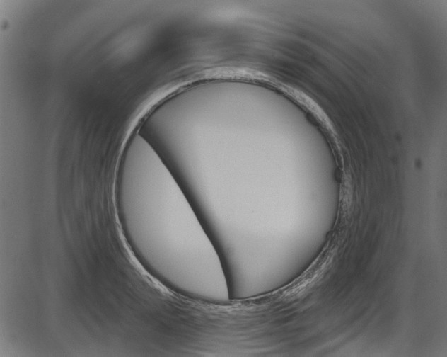 X0000087550847200704270947