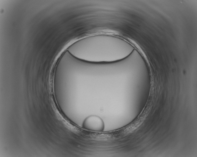 X0000087550851200704270947