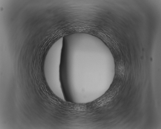 X0000087550865200704270946