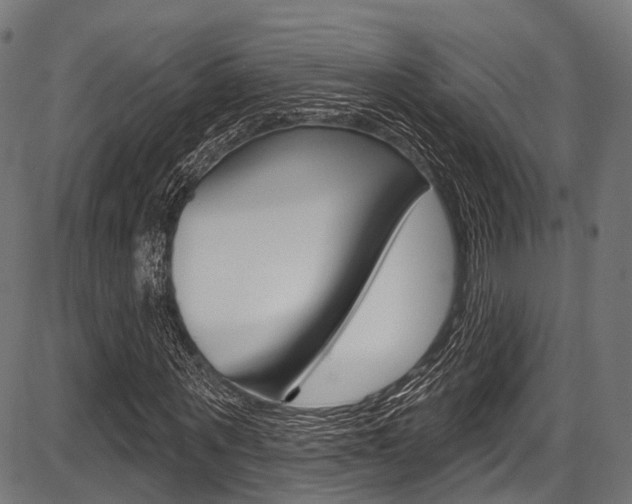X0000087550867200704270946