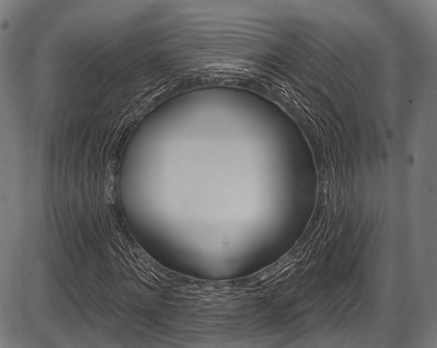 X0000087550868200704270946