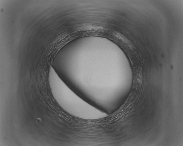 X0000087550869200704270946