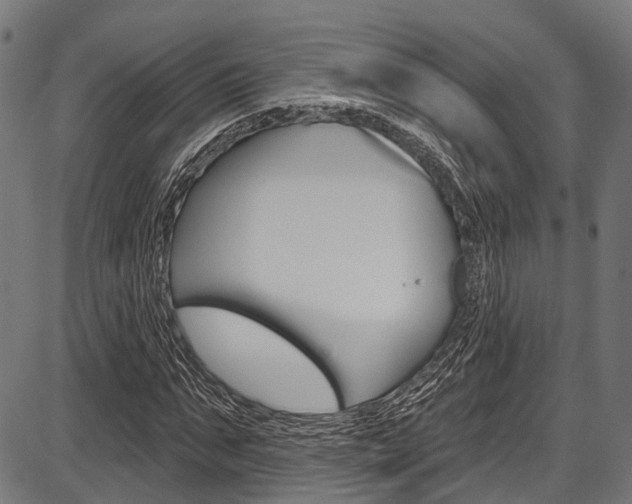 X0000087550871200704270946