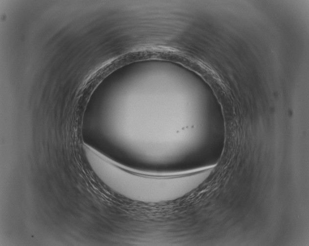X0000087550872200704270946