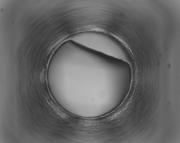 X0000087550873200704270946