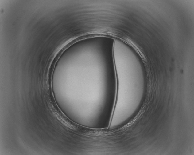 X0000087550884200704270946