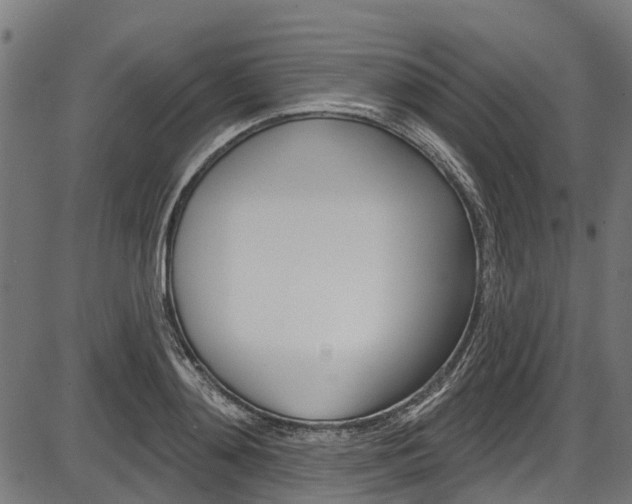 X0000087550892200704270946