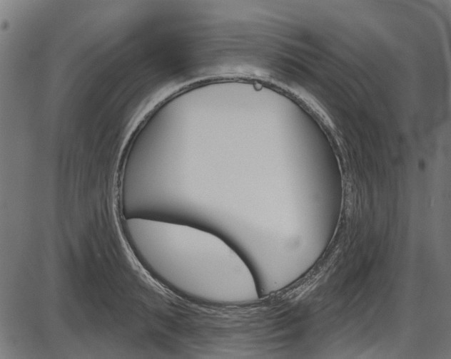 X0000087550895200704270946