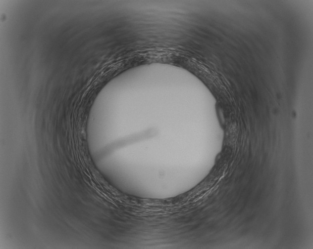 X0000087550913200704270945