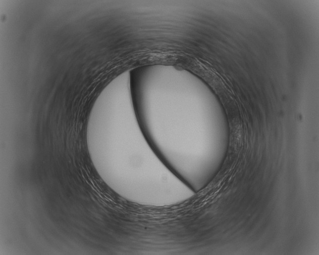X0000087550914200704270945