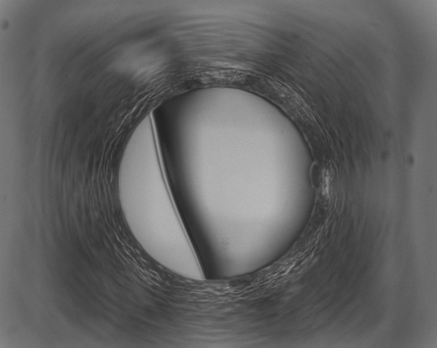 X0000087550915200704270945