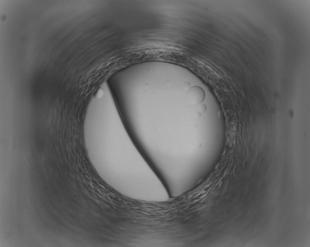 X0000087550917200704270945