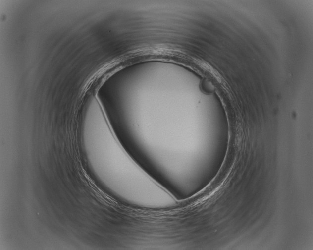X0000087550922200704270945