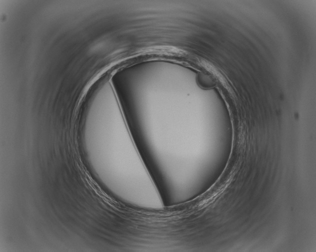 X0000087550923200704270945
