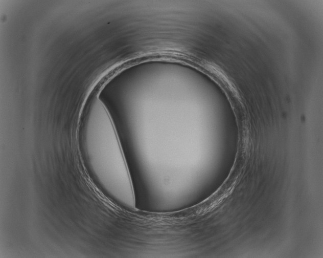 X0000087550924200704270945