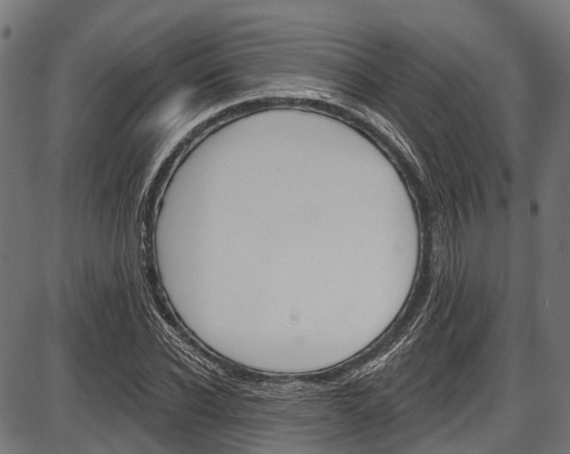 X0000087550926200704270945