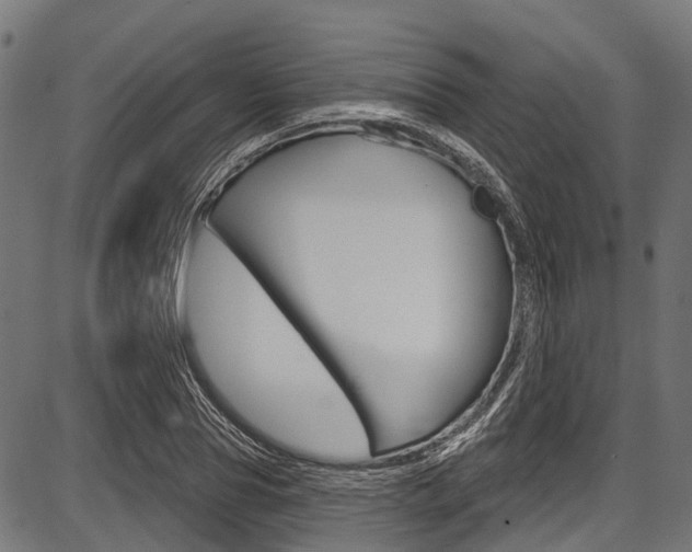 X0000087550929200704270945