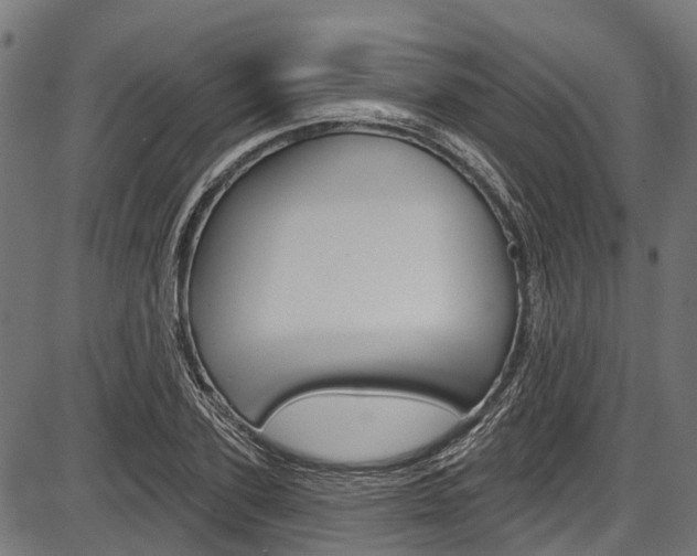 X0000087550931200704270945