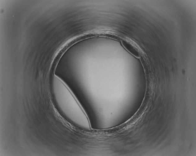 X0000087550934200704270945