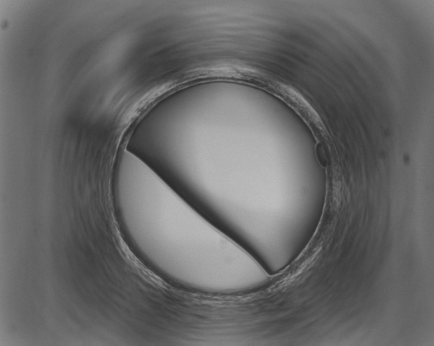 X0000087550938200704270945