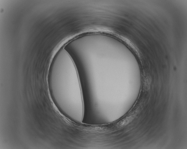 X0000087550943200704270945