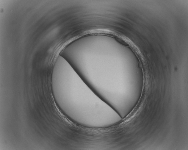 X0000087550945200704270945